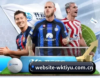 website-wktiyu.com.cn的故事